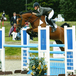 Miss Arko - Showjumping Horse